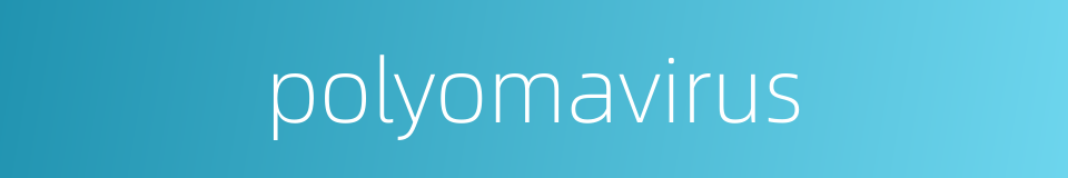 polyomavirus的同义词