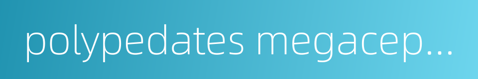 polypedates megacephalus的同义词