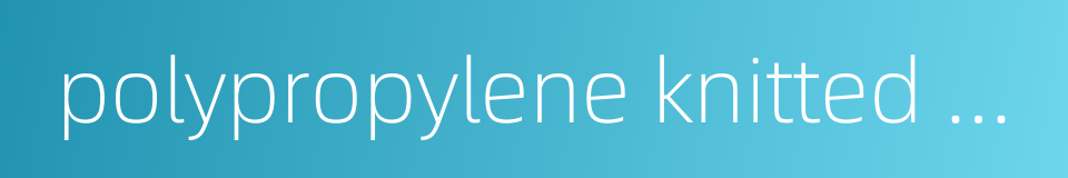 polypropylene knitted bag的同义词