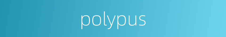polypus的同义词