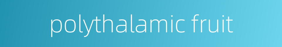polythalamic fruit的同义词