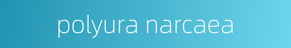polyura narcaea的同义词