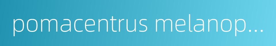 pomacentrus melanopterus的同义词