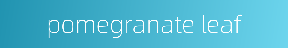 pomegranate leaf的同义词