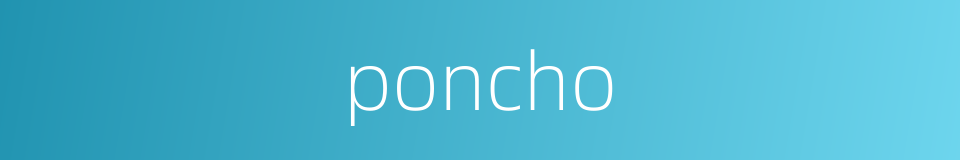 poncho的同义词
