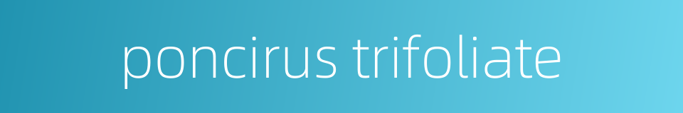 poncirus trifoliate的同义词