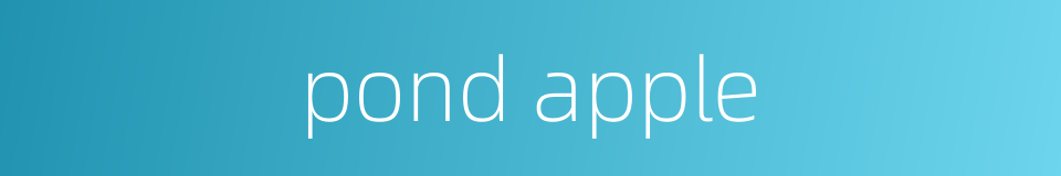 pond apple的同义词