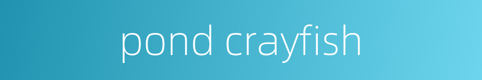 pond crayfish的同义词