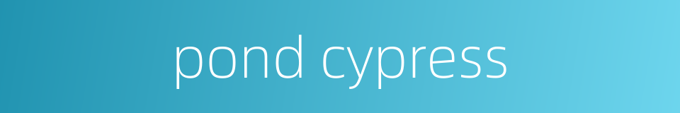 pond cypress的同义词