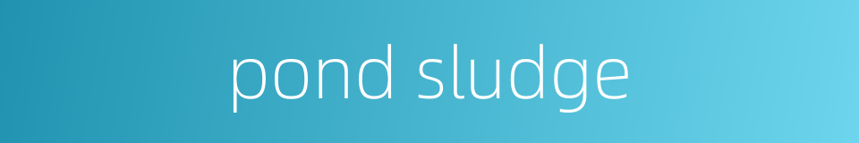 pond sludge的同义词