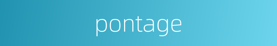 pontage的同义词