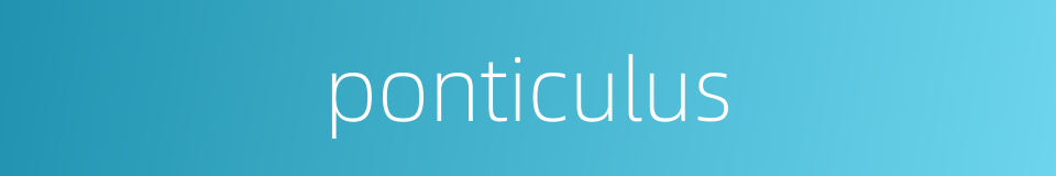 ponticulus的同义词