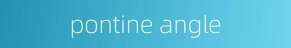 pontine angle的同义词