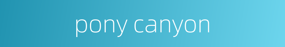 pony canyon的同义词