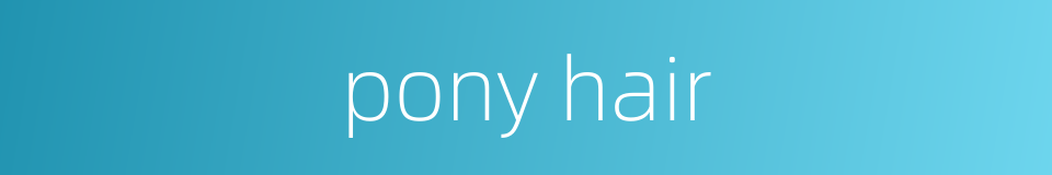 pony hair的同义词