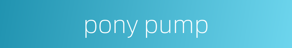 pony pump的同义词