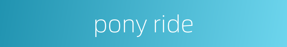 pony ride的同义词