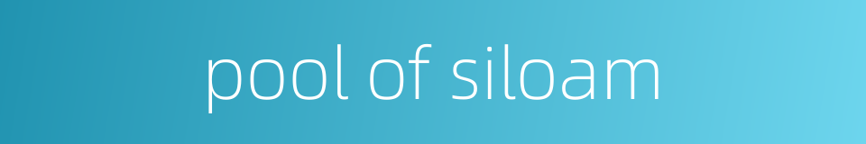pool of siloam的同义词