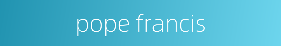 pope francis的同义词