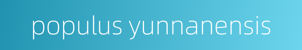 populus yunnanensis的同义词