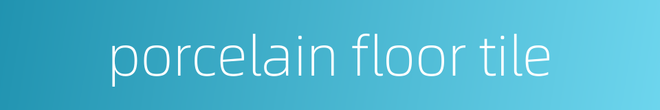 porcelain floor tile的同义词