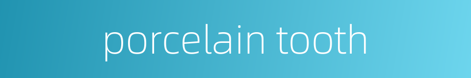 porcelain tooth的同义词