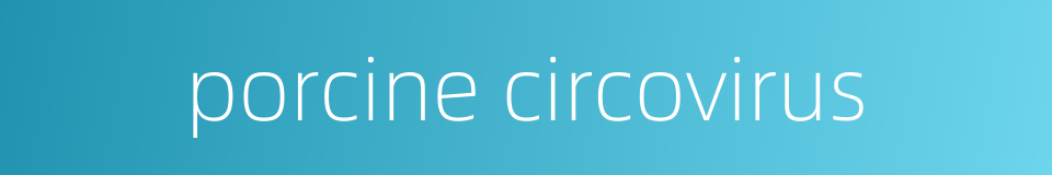 porcine circovirus的同义词