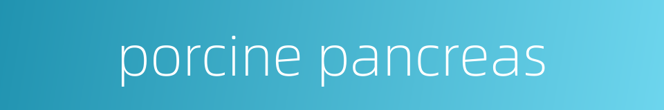 porcine pancreas的同义词