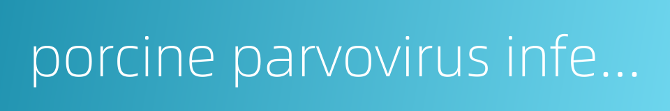 porcine parvovirus infection的同义词