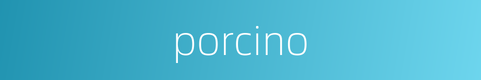 porcino的同义词