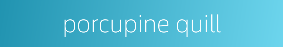 porcupine quill的同义词