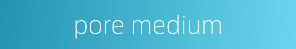 pore medium的同义词