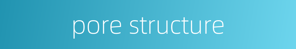 pore structure的同义词