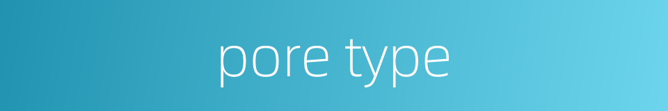 pore type的同义词