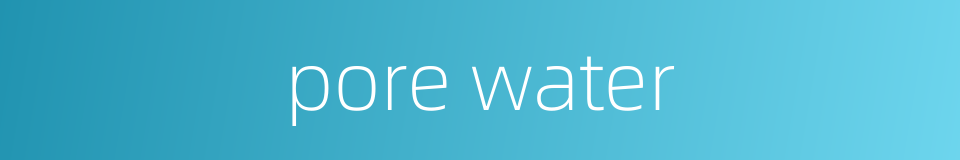pore water的同义词