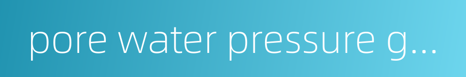 pore water pressure gauge的同义词