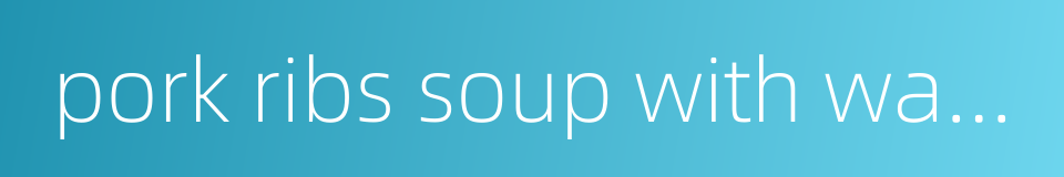 pork ribs soup with wax gourd的同义词