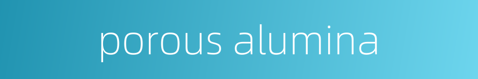 porous alumina的同义词