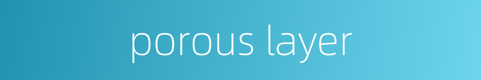 porous layer的同义词