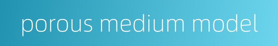 porous medium model的同义词