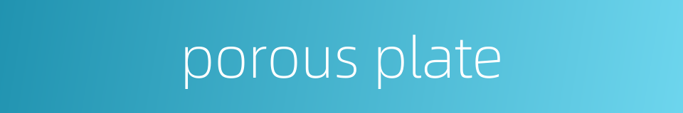 porous plate的同义词