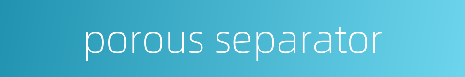 porous separator的同义词