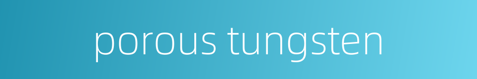porous tungsten的同义词