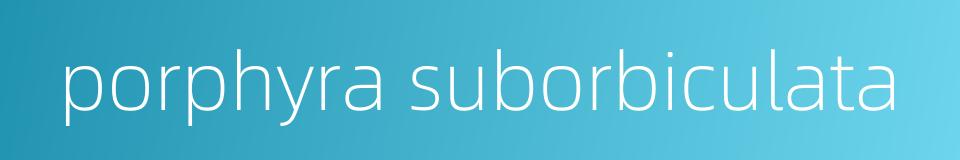 porphyra suborbiculata的同义词