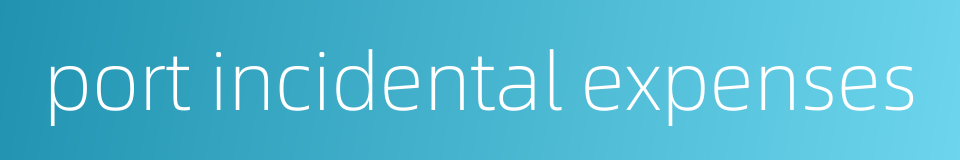 port incidental expenses的同义词