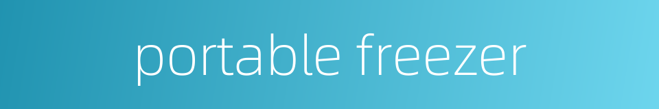 portable freezer的同义词