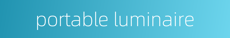 portable luminaire的同义词
