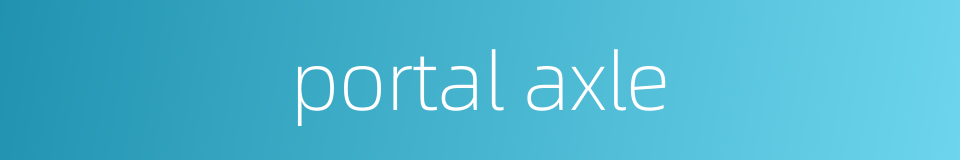 portal axle的同义词