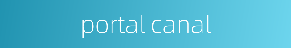 portal canal的同义词