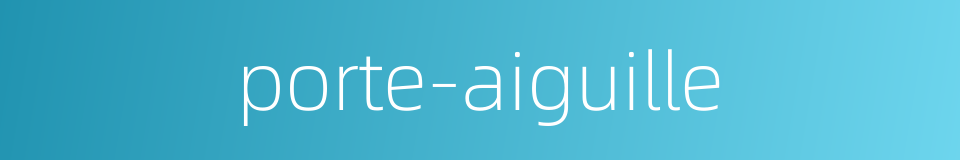 porte-aiguille的同义词